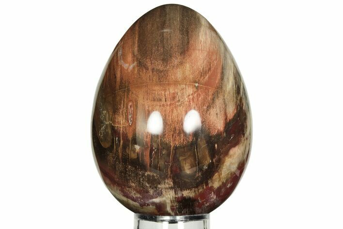 Colorful, Polished Petrified Wood Egg - Madagascar #211128